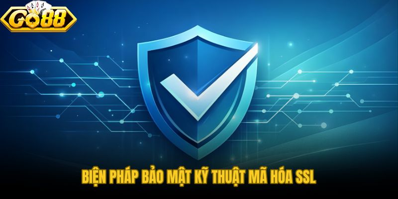 Chính sách bảo mật với mã hóa SSL 256-bit và tường lửa