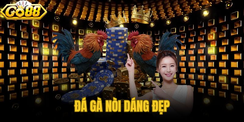 Đá Gà Nòi Dáng Đẹp