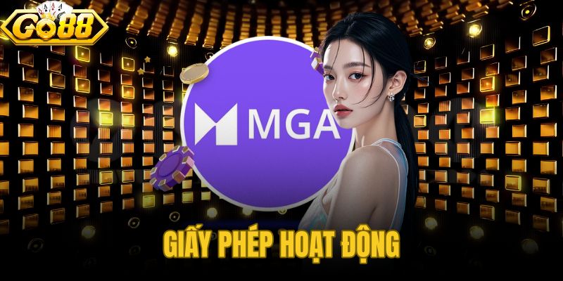 Giấy Phép Hoạt Động