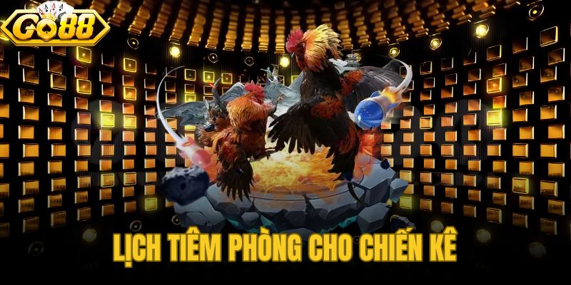 Lịch Tiêm Phòng Cho Chiến Kê