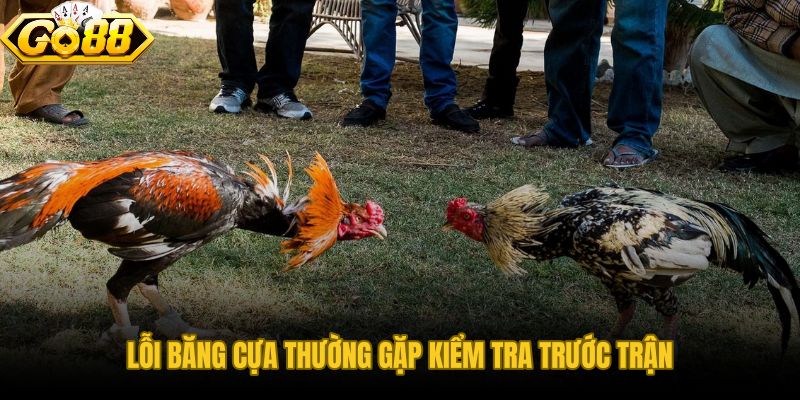 Bốn lỗi băng cựa phổ biến và checklist kiểm tra trước trận