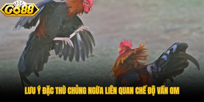 Lịch tiêm phòng cho chiến kê phối hợp chế độ vần om và khoảng nghỉ phục hồi