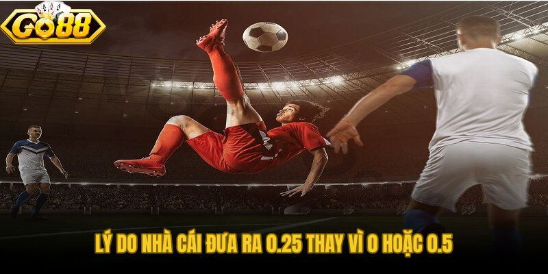Kèo chấp đồng banh nửa trái công cụ cân bằng dòng tiền hai phía