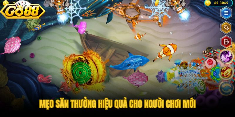 Bắn Cá Long Vương GO88 và cách chia quỹ điểm cho người mới bắt đầu