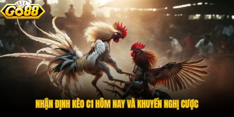 Nhận Định Trận Đá Gà C1 qua xác suất kèo chấp và thời lượng trận