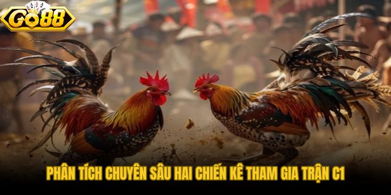Hồ sơ chiến kê C1 và đánh giá chiến thuật trước trận đấu