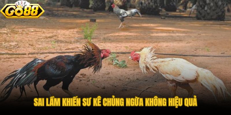Lịch tiêm phòng cho chiến kê thất bại do sai quy trình bảo quản và thao tác