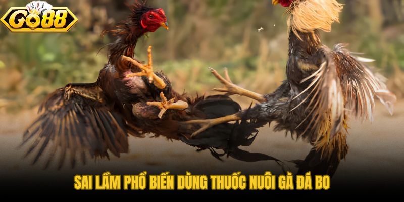 Thuốc nuôi gà đá bo lớn dùng sai liều hoặc sai thời điểm gây phản tác dụng
