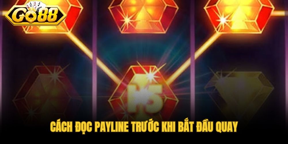 Payline là gì và những thông tin cần kiểm tra trong bảng hướng dẫn