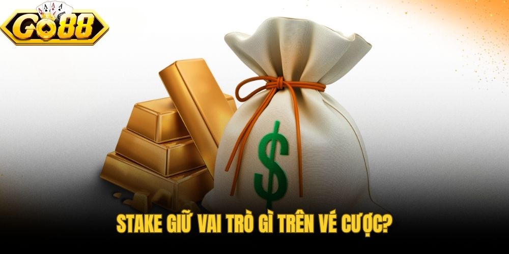 Tiền cược là cơ sở xác định rủi ro và khoản trả về