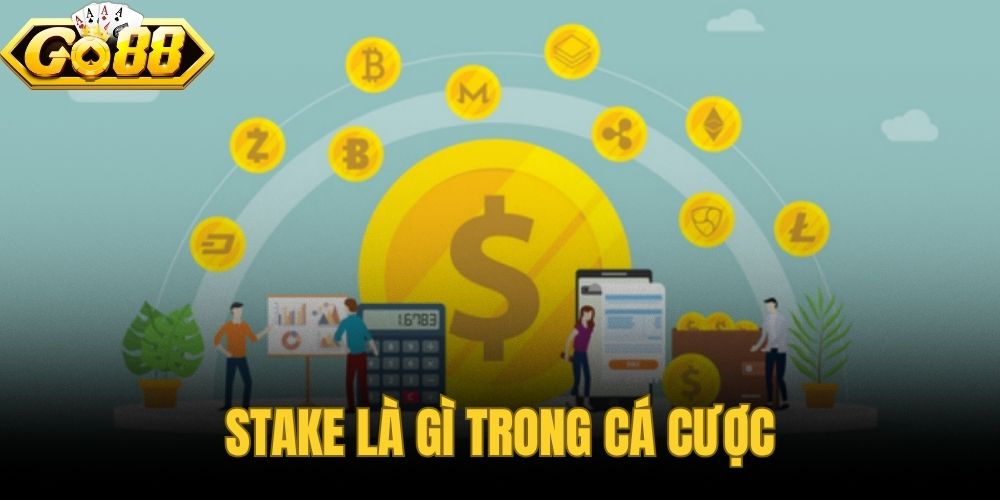 Stake Là Gì Trong Cá Cược